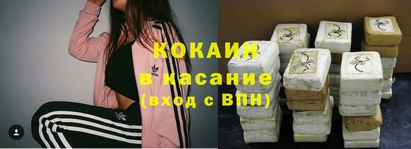 сатива Гусев