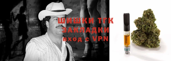 сатива Гусев