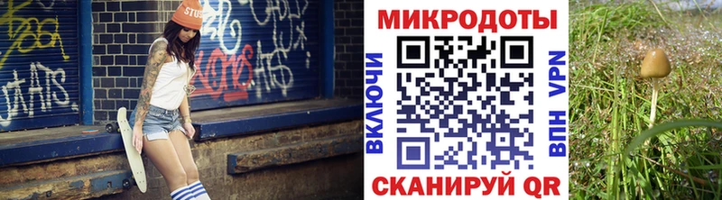 Псилоцибиновые грибы MAGIC MUSHROOMS  Новосиль 